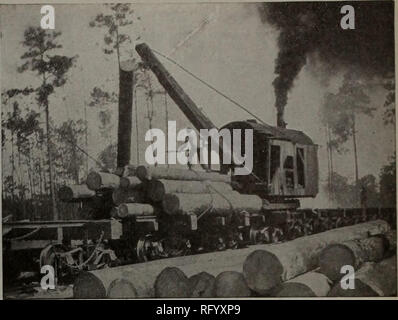 . Kanadische Forstindustrie 1911. Holzschlag; Wälder und Forstwirtschaft; Wald; Wald - zellstoffindustrie; Holz verarbeitenden Industrien. Kanada LUMBERMAN UND WOODWORKER 5' in diesen schweren Verlust von Leben und Eigentum bei Cochrane und Stachelschwein geeignet, leider nicht auf diesen Ort beschränkt. Umfangreiche Brände haben in anderen Teilen der neuen Ontario aufgetreten. Alle entlang der kanadischen Norden, von Sudbury zu Sellwood, Feuer rasend gewütet, und viele Millionen Füße des Holzes zerstört zu haben. Das Feuer kam sogar bis zum Stadtrand von Sudbury und bedroht die Stadt selbst sind. Bei Sellwood th Stockfoto