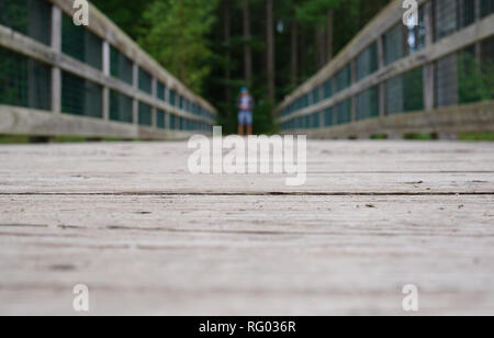 Die Brücke ist auf den Pinienwald. Der Holzboden der Brücke im Fokus ist, schließen. Makro Stockfoto