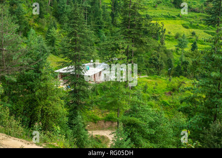 Ein schönes Dorf von Deodar Baum im Himalaya, Sainj Valley, Himachal Pradesh, Indien Umgeben Stockfoto