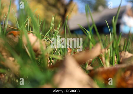 Polnische Landschaft im Herbst. Województwo świętokrzyskie (Heiliges Kreuz Provinz, Woiwodschaft Świętokrzyskie) Stockfoto