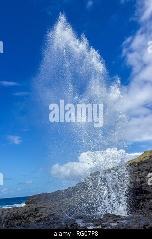 Wenig blowhole in dem malerischen Dorf in der Nähe von Kiama Jervis Bay auf einem Moody Frühling mit Springbrunnen Jervis Bay, Australien Stockfoto