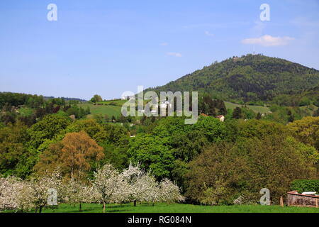 Apfelblüte, Kinder im öffentlichen Obstgut Baden-Baden Lichtental, mit Blick auf den Hausberg Merkur Stockfoto