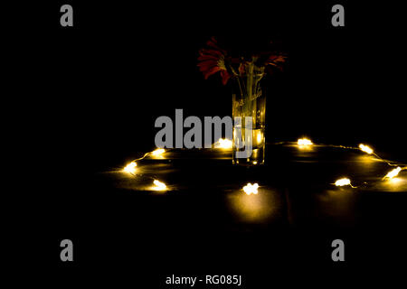 Rote Gerbera in einem Shot Glas Stockfoto
