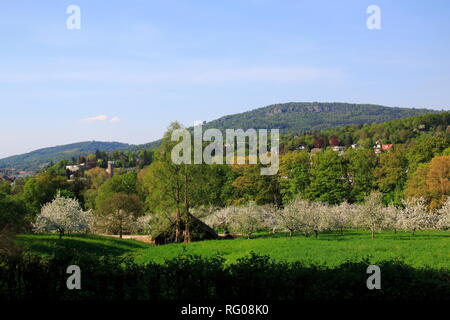 Apfelblüte, Kinder im öffentlichen Obstgut Baden-Baden Lichtental, mit Blick auf sterben Battert Felsen Stockfoto