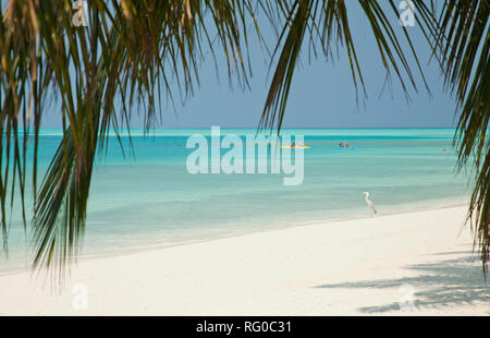 Meeru Island Resort, Malediven, Indischer Ozean, Asien Stockfoto