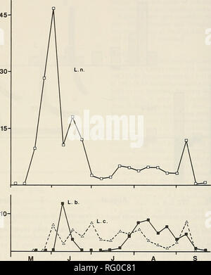 . Die kanadische Feld - naturforscher. 334 Die kanadische Field-Naturalist Vol.98 45. Abbildung 3. Seasonalactivity der drei wandernden Fledermäuse bei Delta Marsh, Manitoba während 1982 als durch die Überwachung ihrer Echoortungsrufen gemessen. L.n. = L. noctivagans, L.b. = L. Borealis, L.c. = L. cinereus. in einem Gebiet, da die Fledermäuse nicht einzelnen ually gekennzeichnet waren, gefunden werden. 14 Einzelpersonen und Gruppen von Hoary Fledermäuse wurden Rastplätze in den Ridge während 1982 und vier 1983. Gruppen bestand aus einem erwachsenen Weibchen und ihren zwei Jungen. Obwohl einige der Gruppen im Jahr 1982 waren wahrscheinlich die selben, einfach verschoben Stockfoto