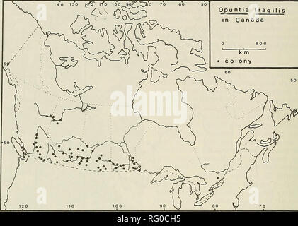 . Die kanadische Feld - naturforscher. 232 Die kanadische Field-Naturalist Vol.100 140 130^^ • K'o 100 Sb^ yXjb'o 70 60 Opuntia fragiljs in Kanada k m Kolonie. Abbildung 3. Verteilung der Opuntia fragilis in Kanada, von UWIN, UWPG, MMMN, DAO, WNRE, CAN, UBC, USAS, UVIC, V, ALTA, LEA, UAC, SASK, und SCS. Die sieben Kolonien untersucht mehr als 100 pads Jede enthalten. Kolonie Abmessungen, pad Zahlen und die Anzahl der Klumpen pro Bergspitze waren nicht korreliert (a = 0,05) mit einem der Boden gemessenen Variablen (d. h. Macronutrient Inhalt, organische Inhalte, pH-Wert, Dichte oder Leitfähigkeit). Auf der Grundlage der Kolonie Stockfoto