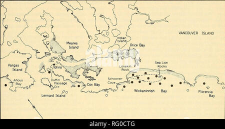 . Die kanadische Feld - naturforscher. 1974 Hatler und Darling: Der graue Wal in British Columbia 453 Vancouver Island. Pazifik Meilen 0 Meer Säugetier Tour Route Abbildung 2. Beobachtungen der Grauwale in der Nähe von wickaninnish Bay, Vancouver Island, British Columbia, zu anderen Zeiten als während der Migration. Geschlossene Kreise stellen ungefähre Standorte, an denen Grauwale mehr als einmal gesehen wurden, während offene Kreise einzelne sichtungen an. Die drei Sichtungen in Grice Bay (mit der Bezeichnung a, b, und c) sind am 27., 28., und 29. Oktober 1971. Gepunktete Bereiche zeigen die Gezeiten mudfla Stockfoto