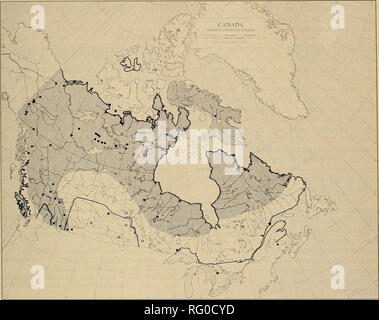 . Die kanadische Feld - naturforscher. 1975 VAN Zyll de Jong: Wolverines in Kanada435. Abbildung 9. Ungefähre Vergangenheit (durchgezogene Linie; auf Seton 1909) und Gegenwart distributioa der Wolverine in Kanada (schattierter Bereich). Periphere und extralimital Datensätze werden durch solide Kreise angezeigt. nahrungsnetze der borealen und arktischen Ökosysteme der Wolverine ist Teil des Predator compon-ent. Feld Beobachtungen (Krott 1959; Haglund, 1966), jedoch gezeigt haben, dass die Wolverine ist jedoch keine effiziente Jäger. Es hat weder die Stealth noch die Geschwindigkeit, die gemeinschaftsware terizes die effiziente Jäger unter den Felidae und Ca Stockfoto