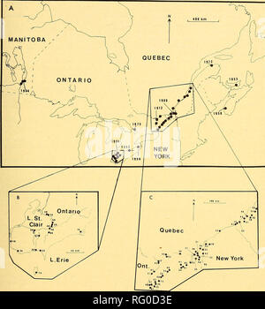 . Die kanadische Feld - naturforscher. 1980 Notizen 335. Abbildung 2. (A) Der Kanadische Verteilung der Butomus umbellatus zeigt die Termine der earhest bekannt Proben aus jeder Region, (b) Einzelheiten der Verteilung in der Lake St. Clair Bezirk und (c) die Ottawa und St. Lawrence River Täler. Verteilungen wurden von Mustern in den folgenden Herbaria zugeordnet: KÖNNEN, DAO, GEWINNEN, und UWPG. (1923) in der St. Lawrence River. Wir schlagen vor, dass die separate Verbreitung Mechanismen lange Wirkung kann - Abstand Ausbreitung und Kolonie expansion (kurz - Abstand Streuung). Menschliche Hilfe hat wahrscheinlich schon lange vorgenommen - Abstand zersteuung Stockfoto