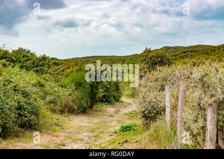 Blick auf den sandigen Weg zwischen den Dünen und Coastal Vegetation auf der Nordsee in Frankreich, Oye-Plage. Stockfoto