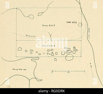 . Die kanadische Feld - naturforscher. 374 Die kanadische Field-Naturalist Vol. 97. Abbildung 3. County. Trakt A (I km^) bestehend hauptsächlich aus segge - Moos Tiefland und Fläche B (2 km), die hauptsächlich aus trockenem Hochland. laropus fulicaria), im Mittel 7 Paare/km-, Bereich 0 bis 14 Paaren/km^. Zusätzlich zu den Arten, die hier nisten bekannt, zwei andere Arten auf der Site jede Verschachtelung Meer - Sohn geblieben, aber ihre Nester wurden nicht entdeckt: White-rumped Sandpiper {Calidris fuscicollis), 4-12 einzelnen uals, Mittelwert 8 und Meerstrandläufer {Calidris maritima), 2 Personen. Die White-rumped Sand - pipers, auffällig mit Stockfoto