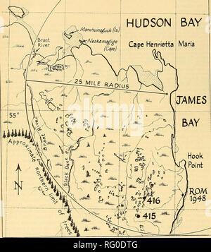 . Die kanadische Feld - naturforscher. 334 Die kanadische Field-Naturalist Vol.86 82 "Ich 60' o:/IC 82° 45 82° 130 82° il 5' Hudson Bay e Henrietta Maria. Abbildung 1. Das Kap Henrietta Maria Region, Ontario. Bitte beachten Sie, dass diese Bilder sind von der gescannten Seite Bilder, die digital für die Lesbarkeit verbessert haben mögen - Färbung und Aussehen dieser Abbildungen können nicht perfekt dem Original ähneln. extrahiert. Ottawa Field-Naturalists' Club. Ottawa, Ottawa Field-Naturalists' Club Stockfoto