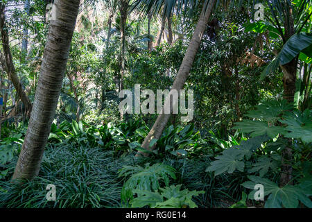 Gewächshaus im Parc de la Ciutadella, Barcelona, Katalonien, Spanien Stockfoto