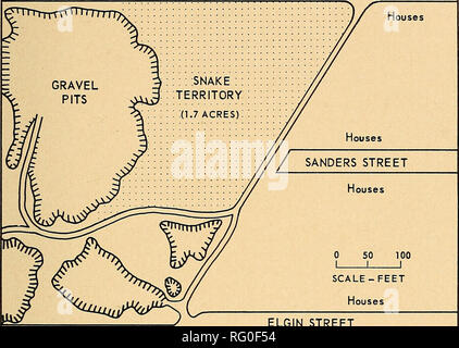 . Die kanadische Feld - naturforscher. EAST STREET. ELGIN STREET N r Abbildung 1. Karte zeigt das Gebiet der glatte grüne Schlange am London bewohnt. Die Karte wurde von eine Ablaufverfolgung der eine Luftaufnahme im April 1957 für die Nutzung der London und Suburbanen Plantafel abgeleitet. Die Schlangen waren während des Tages auf acht Tage (Tabelle 1), während der Saison gesammelt. Vier waren in der geöffneten gefunden, einer von ihnen in der Sonne auf einem Grasbewachsenen patch aufgewickelt am 29. Juni und die drei anderen, die sich in das Gras. Die anderen 15 Schlangen wurden unter Unterstände lose auf dem Boden liegen, einschließlich der Bits von tar pap gefunden Stockfoto