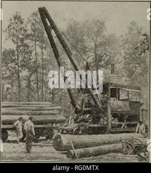 . Kanadische Forstindustrie Januar-Juni 1912. Holzschlag; Wälder und Forstwirtschaft; Wald; Wald - zellstoffindustrie; Holz verarbeitenden Industrien. Alle bereit Dachkonstruktionen - mit Ausnahme von J-M Asbest (Stein) verwurzelt sind - sogenannte Filz aus tierischen oder pflanzlichen Fasern. Wenn diese Fasern wachsende waren, lebten sie auf der Erde oder tierischen woher sie kamen, und sie erhielt ihr Leben davon. So jede Faser dieser Art ist hohl, wie ein Strohhalm. Diese Filze sind mit Kohle Teer, Asphalt und Öl oder anderen flüchtigen Kompositionen, die schnell verflüchtigen, wenn die Sonne sie erreicht. Daher, t Stockfoto