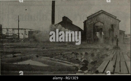 . Kanadische Forstindustrie 1911. Holzschlag; Wälder und Forstwirtschaft; Wald; Wald - zellstoffindustrie; Holz verarbeitenden Industrien. Entladen ein Zug von Protokollen in Mühle Teich Wir sind spezialisiert auf Langholz und sind in der Lage, spezielle Aufträge zu jeder Zeit des Jahres zu füllen. Wir können Ihnen versichern, dass Sie prompt Schiff- rungen - Gute und gleichmäßige Noten - unübertroffen Millwork. Fassett Lumber Co., Limited FASSETT, Que. Hersteller von Kiefer, Fichte, Hemlock und Laubhölzer Rapid Rail Einrichtungen reduzieren die Produktion Unsere ideale Bahnanlagen von Grenzen der Mühle ermöglichen uns hergestellte Schnittholz bei einem Minimum von zu produzieren Stockfoto