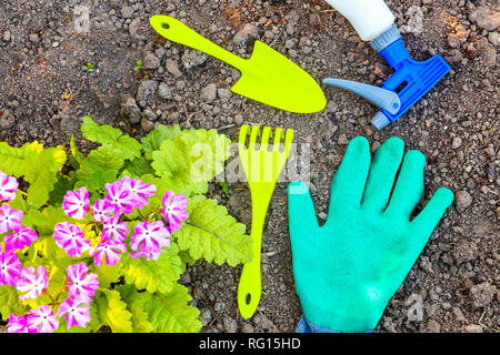 Gartengeräte, Schaufel, Spaten, Gartenschere, Rechen, Handschuh, Primrose Blumen auf den Boden Hintergrund. Im Frühling oder im Sommer im Garten, Eco, Natur, Gartenbau ho Stockfoto