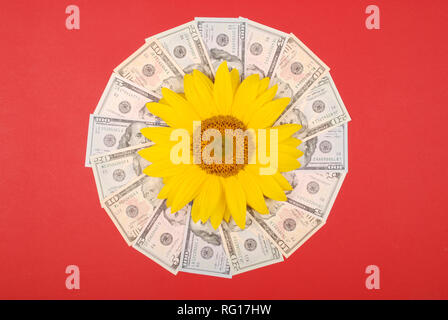 Sonnenblume Blume auf Mandala Kaleidoskop von Geld. Abstrakte Geld Hintergrund raster Muster wiederholen Mandala Kreis. Auf roten Hintergrund. Stockfoto