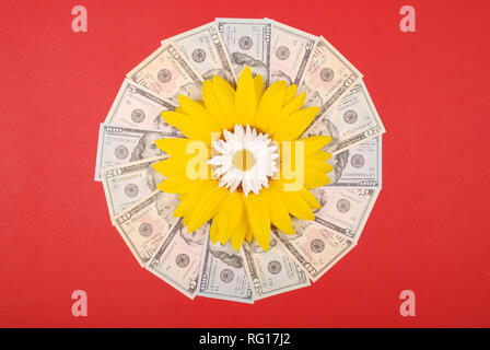 Sonnenblume und Kamille auf Mandala Kaleidoskop von Geld. Abstrakte Geld Hintergrund raster Muster wiederholen Mandala Kreis. Auf roten Hintergrund. Stockfoto
