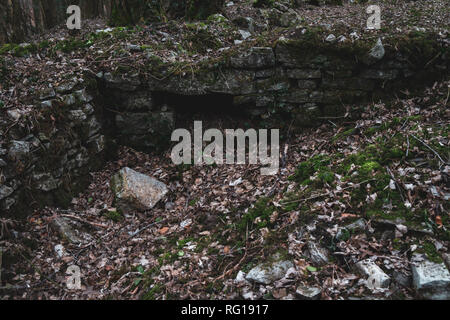 Ruiniert Wand in einem Wald Stockfoto