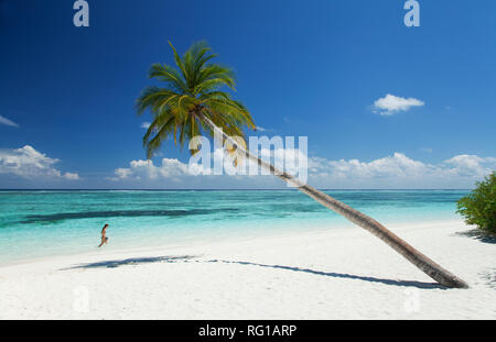 Frau in Meer und Palmen am weißen Sandstrand, Meeru Island Resort, Malediven, Indischer Ozean, Asien Stockfoto