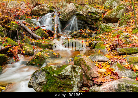 Bunte Blätter an einem Bergbach Wasserfall im Herbst Stockfoto