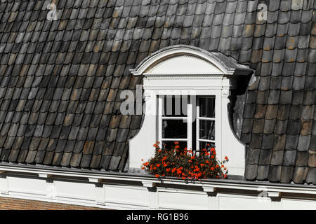 Deventer, Overijssel/Niederlande - 27. September 2018: Blumen wachsen auf niederländischen Fensterbank in den restlichen warmen Monate des Jahres. Stockfoto