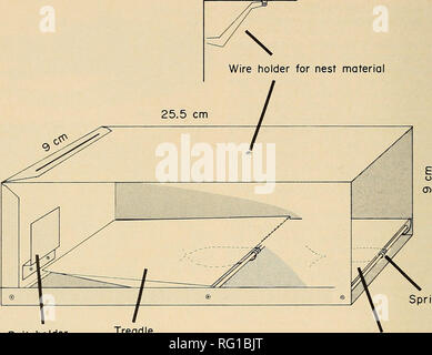 . Die kanadische Feld - naturforscher. 400 Die kanadische Field-Naturalist Vol. 91. Feder Köder Inhaber Tritt 15cm lang vordere Tür in Position Abbildung 1. Cutaway schematische Zeichnung des verbesserten kleines Säugetier Leben falle, in der eingestellten Position dargestellt. Durch die Menge der Köder und nistmaterial verändert in die Falle. Anwendung von Erdnussbutter und Haferflocken Köder verschmiert auf der Innenseite der hinteren Tür (Wiener und Smith 1972) bietet eine Teillösung für die Empfindlichkeit Problem aber begrenzt die Menge der Köder in der Falle verwendet. Ausreichende Nahrung und Nistmaterial müssen einbezogen werden, um f ähig ist, Stockfoto