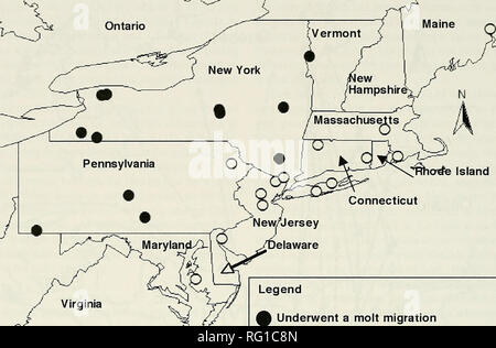 . Die kanadische Feld - naturforscher. Natural History; Baron. 318 Die kanadische Field-Naturalist Vol. 121 45'40' Quebec tr.jPl^ cf^e Insel 100 100 Kilometer Legend^ machte eine Mauser Migration^ Nicht eine Mauser Migration unterzogen werden, Abbildung 2. Streifenbildung Standorte von Atlantic Flyway Wohnbevölkerung Kanadagänse mit Sat-Sender im Mai 2001 und 2003 verfolgt markiert. Viele Studien haben gezeigt, dass die Änderung sur-Belebung der erwachsenen Gänse viel mehr im Wandel der Bevölkerung wirksamer ist als die Änderung der Einstellung (Trost et al. 1986; Schmutz et al. 1997). Aber auch ein direkter Stockfoto