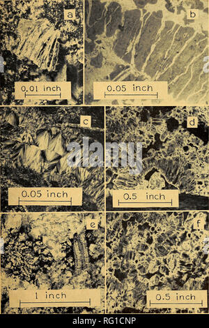 . Die kanadische Feld - naturforscher. 1964 Hogarth: Pseudofossils in der Nähe von Old Chelsea 11. Bitte beachten Sie, dass diese Bilder sind von der gescannten Seite Bilder, die digital für die Lesbarkeit verbessert haben mögen - Färbung und Aussehen dieser Abbildungen können nicht perfekt dem Original ähneln. extrahiert. Ottawa Field-Naturalists' Club. Ottawa, Ottawa Field-Naturalists' Club Stockfoto