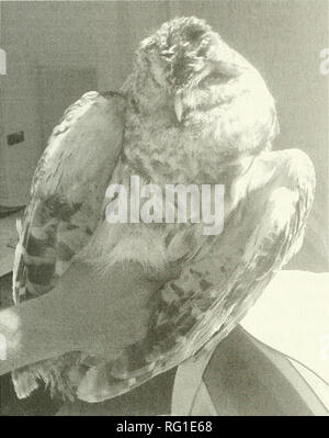 . Die kanadische Feld - naturforscher. 2004 Anhang 275. Bitte beachten Sie, dass diese Bilder sind von der gescannten Seite Bilder, die digital für die Lesbarkeit verbessert haben mögen - Färbung und Aussehen dieser Abbildungen können nicht perfekt dem Original ähneln. extrahiert. Ottawa Field-Naturalists' Club. Ottawa, Ottawa Field-Naturalists' Club Stockfoto