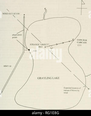 . Die kanadische Feld - naturforscher. Natural History; Baron. 2006 Nägel 111 WIND unsere "NW. HWY 10 200 m • Abbildung 1. Elk Karkasse Standorte relative Richtung zu wickeln. Gravlins See. 2 Ausust 2004. von Parks Canada (persönliche Mitteilung) und Inde - pendently durch den Autor. Es wurde die Hypothese aufgestellt, dass der Bär die Karkasse aus dem See geholt hatte und zu schwimmen, mindestens 200 m, um es zu bekommen. Veteran Parks Kanada Warden Pat Rousseau (persönliche Mitteilung), ein Experte auf Schwarzbären, zugestimmt. In seiner Erfahrung, die er nicht wirklich gesehen hatte Bären Elch tierkörper an Land ziehen sie aber. Stockfoto