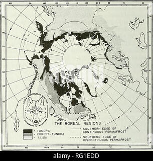 . Die kanadische Feld - naturforscher. Vorschlag einen Stuhl in der natürlichen Geschichte der Boreale Wald an der Universität von Manitoba ich WmLiAM O. Pruitt, Jr. * Abteilung für Zoologie, Universität von Manitoba, Winnipeg, Manitoba R3T 2N2, Kanada Pruitt, William O., Jr. 1998 zu etablieren. Vorschlag einen Stuhl in der natürlichen Geschichte der boreale Wald an der Universität von Manitoba zu etablieren. Kanadische Field-Naturalist 112 (2): 366-372. Die borealen Wald, oder Taiga (Abbildung 1), erstreckt sich in Nordamerika von der Basis des Seward Halbinsel im Westen von Alaska in die USA, nach Osten in Kanada durch die Yuk Stockfoto