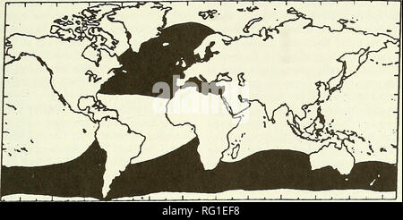 . Die kanadische Feld - naturforscher. 1996 Nelson und Lien: Status der Long-finned Pilot Whale 515. Abbildung 2. Bereich der Long-finned Grindwal, globicephala Melas. Maritime Provinzen Kanadas oder nach Süden, obwohl Sie vorhanden sind (Mercer 1975; Leatherwood und Dahlheim 1978; Hain et al. 1981; Kraft et al. 1982; Gaskin 1983). Sommer küstennahe Bewegungen von Grindwalen um Neufundland sind deckungsgleich mit der Ankunft der Short-finned Squid {Illex illecebrosus), die es bevorzugen Wasser Temperaturen im Bereich von fünf bis 15°C. (Frost und Thompson 1933; Sergeant und Fisher 1957; Pfandrecht und ein Stockfoto