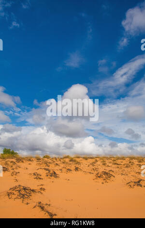 Die Sanddünen neben dem Fairy Stream (Suoi Tien) in Mui Ne, Binh Thuan Provinz, Vietnam Stockfoto