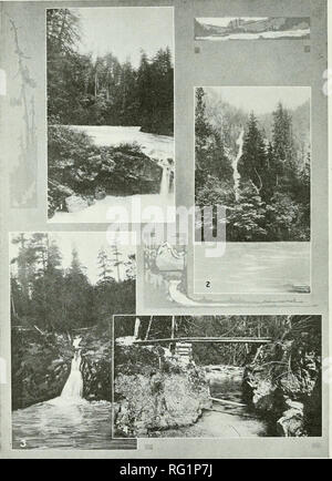 . Kanadische Forstwirtschaft Zeitschrift. Wälder und Forstwirtschaft - Kanada Zeitschriften. 202 kanadischen Forstwirtschaft Journal, Mai, 1919. Der WALD UND DAS WASSER BEFUGNISSE VON BRITISH COLUMBIA. 1. Stempel River. 2. Hazel Creek, Toba Inlet; 800 Füße fallen in Aussicht; typisch für viele Ströme, wie sie von der "hängenden Tälern "hinab. 3. Little Qualicum River. 4. Chehalis River Bridge an der oberen Schlucht.. Bitte beachten Sie, dass diese Bilder sind von der gescannten Seite Bilder, die digital für die Lesbarkeit verbessert haben mögen - Färbung und Aussehen dieser Abbildungen können nicht perfekt dem Original ähneln. extrahiert. C Stockfoto