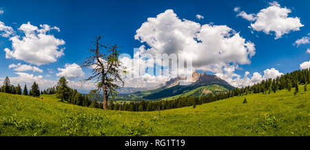 Sicht auf die Berge, Rosengarten, Rosengarten, von den Weiden von Alm Latemar gesehen Stockfoto