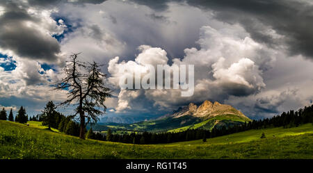 Sicht auf die Berge, Rosengarten, Rosengarten, von den Weiden von Alm Latemar, dunkle Gewitterwolken näher betrachtet Stockfoto