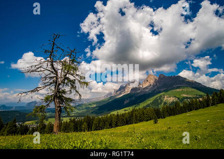 Die Berge Rosengarten, Rosengarten, von den Weiden von Alm Latemar gesehen Stockfoto