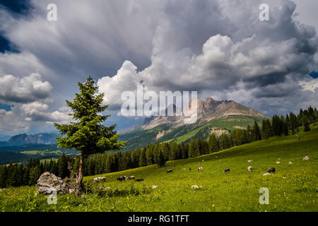 Die Berge Rosengarten, Rosengarten, von den Weiden von Alm Latemar, dunkle Gewitterwolken näher betrachtet Stockfoto