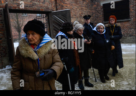 Auschwitz Überlebenden werden gesehen, um die offizielle Zeremonie an der Nazi-deutschen Vernichtungslagers Auschwitz-Birkenau während dem 74. Jahrestag der Befreiung von Auschwitz teilnehmen. Stockfoto