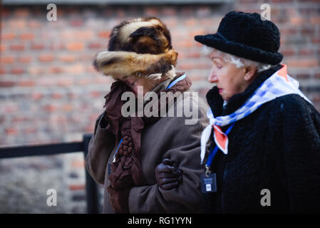 Auschwitz Überlebenden werden gesehen, um die offizielle Zeremonie an der Nazi-deutschen Vernichtungslagers Auschwitz-Birkenau während dem 74. Jahrestag der Befreiung von Auschwitz teilnehmen. Stockfoto