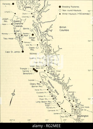 . Die kanadische Feld - naturforscher. 1988 Bigg: Status der Steller Sea Lion 317. Abbildung 2. Geographische Lage von aktuelle rookeries (•), ganzjährig haulouts (O) und Winter (A) der Steller Seelöwen in British Columbia. Nur im Winter Standorte mit &gt; 50 Personen, in der Regel werden zur Kenntnis genommen. und Maxwell (1958) der Auffassung, dass die jährlichen Höhepunkt im Juli und Withrow (1982,^ trug &Lt;imLoughlinetal. Anzahl in British Columbia ist während der frühen 1984) schlug vor, dass es in der Mitte fand - Juni zu. Bitte beachten Sie, dass diese Bilder aus gescannten Seite Bilder, die digital verbessert worden sein können extrahiert werden Stockfoto