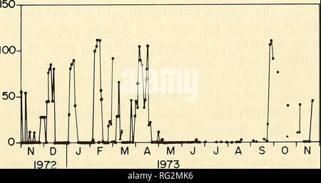 . Die kanadische Feld - naturforscher. 1988 Bigg: Status der Steller Sea Lion 327 Tabelle 7. Der Winter haulouts in Britisch-Kolumbien, Anzahl der Steller Seelöwen auf ihnen gesehen im Sommer und im Winter 1971-1982, und die Geschichte der Website verwenden. Nur Standorte, an denen 50 Tiere regelmäßig beobachtet wurden, einzeln aufgeführt. Die in Klammern angegebenen Zahlen wurden von den nachfolgenden oder vorhergehenden zählen angenommen. Winter Sommer Geschichte 1971 1976 1977 1982 Erstmals festgestellt Haulout 7-12/12 13-21/12 27/06-2/7 28-30/6 Änderungen der Verwendung Rennen Felsen 35 113 0 (0) 1965 Neu gebildete Ada Insel 0 131 0 (0) 1973 neu gebildeten Trail Insel 0 91 0 (0) (1) Stockfoto