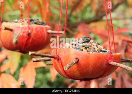 Hausgemachte Bird Feeder aus einem Kürbis geschnitzt, gefüllt mit Samen und Nüsse im Herbst - Oktober, Großbritannien Stockfoto