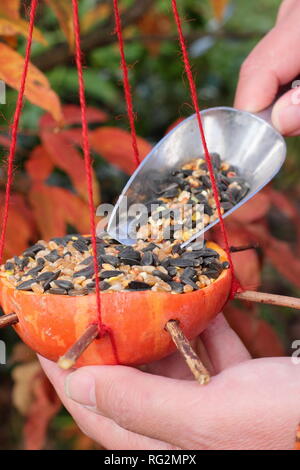 Hausgemachte Bird Feeder aus Kürbis Kürbis mit Samen und Nüsse für Gartenvögel, Herbst - Oktober, UK gefüllt wird geschnitzt Stockfoto