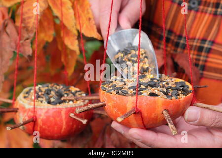 Hausgemachte Bird Feeder aus Kürbis Kürbis mit Samen und Nüsse für Gartenvögel, Herbst - Oktober, UK gefüllt wird geschnitzt Stockfoto