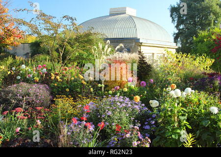 Herbstfarben im Vier Jahreszeiten Garten an der Sheffield Botanischer Garten, Oktober, in England. Im Bild: acern, Astern, Rudbeckien, Sedum, Dahlien... Stockfoto