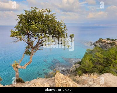 Wunderschöne Aussicht auf einen Baum auf einer Klippe über dem Mittelmeer als vom Aphrodite Wanderweg der Akamas Halbinsel gesehen, Zypern Stockfoto